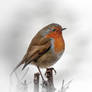 ROBIN, PAUSING...