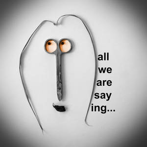 ALL WE ARE SAYING...