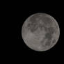 Full Moon August 31, 2012