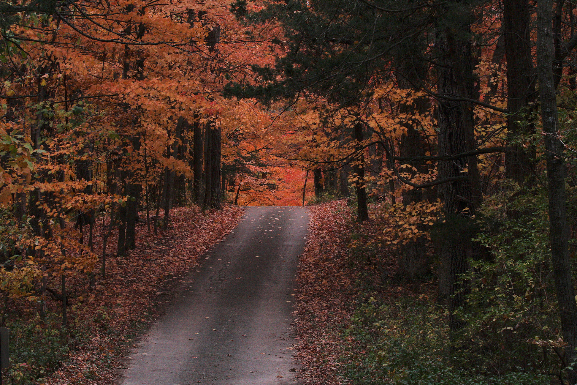 Palisades Park 10-6-2012