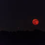 Red Moon