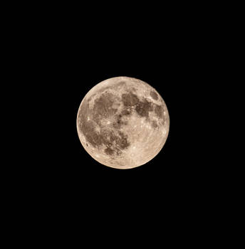 Full Moon 7-29-2026
