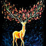 Fire Deer Spirit