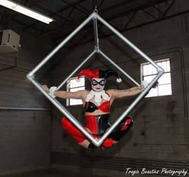 Harley Quinn Aerial Cube 1