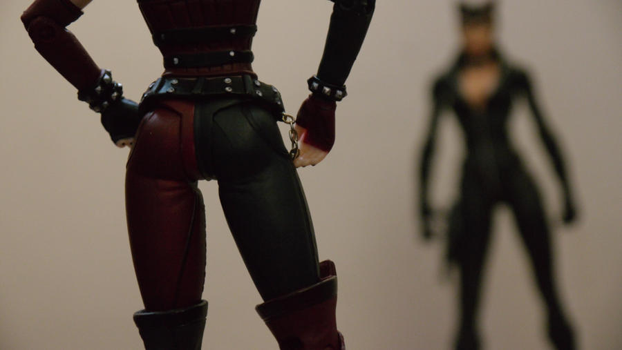 Catwoman vs Harley Quinn 4