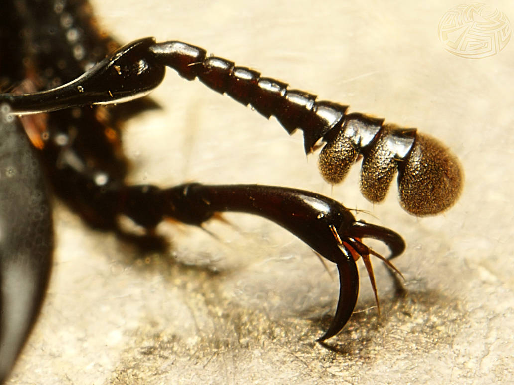 Tuesday Riddle No. 2 by webcruiser on DeviantArt