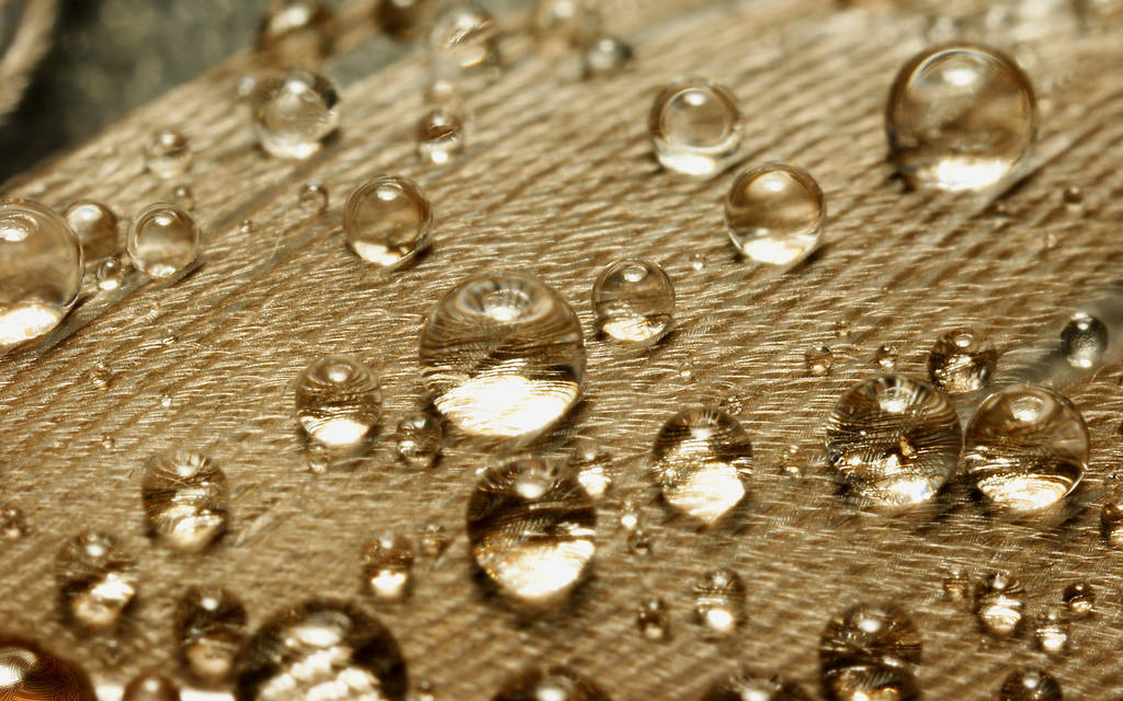 Raindrops on a Feather by webcruiser