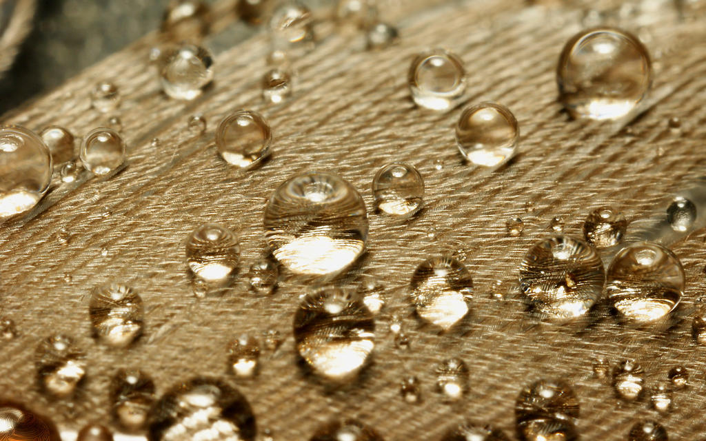 Raindrops on a Feather