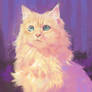 169 KittyCat