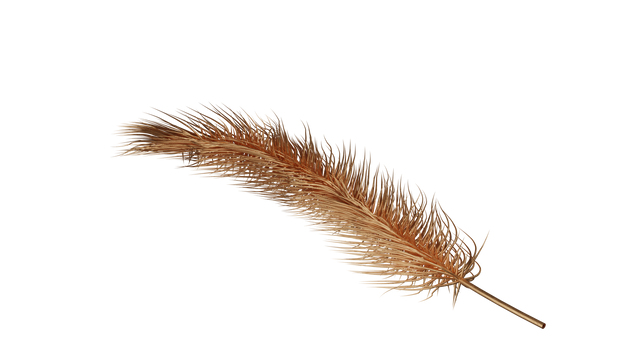 3D Rendered Gold Feather PNG