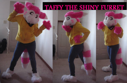 Taffy the Shiny Furret :3