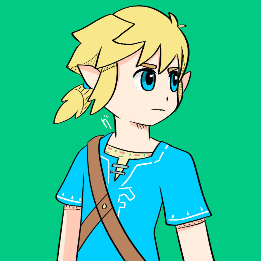 Link Botz Link BOTW by Nintenella on DeviantArt