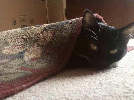 Carpet Burrito