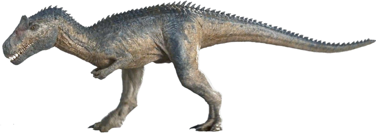 Adult Allosaurus Render By Tsilvadino On Deviantart 