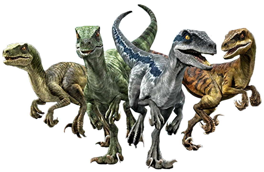 Jurassic World Camp Cretaceous Raptors Render 1 By Tsilvadino On Deviantart 