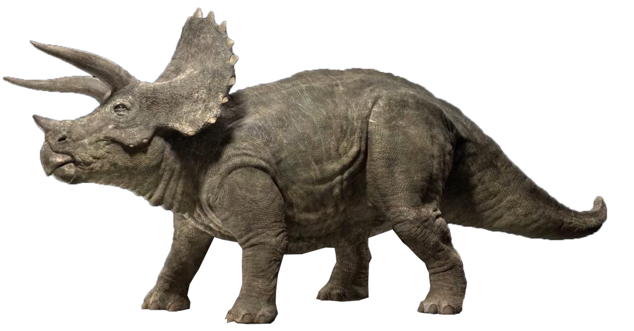Jurassic World Triceratops Render 4 By Tsilvadino On Deviantart Jurassic World Triceratops Render 4 By Tsilvadino On Deviantart