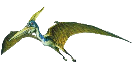 Pteranodon (The Lost World, Jurassic Park 3, Jurassic World)