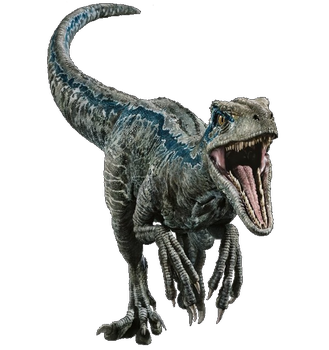 Blue Raptor Render Jurassic World Velociraptor Blue Render 1 by tsilvadino on DeviantArt