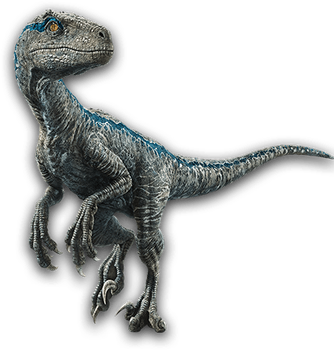 Jurassic World Velociraptor Blue Render 2 by tsilvadino on DeviantArt