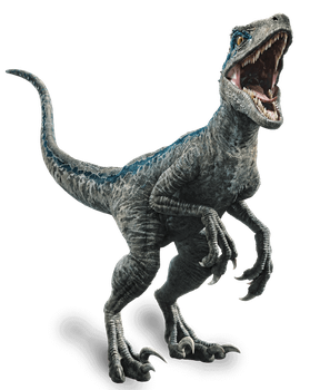 Jurassic World Velociraptor Blue Render 4 by tsilvadino on DeviantArt