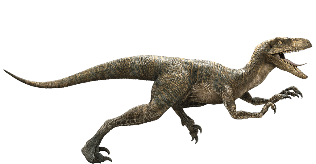 Jurassic World Velociraptor Echo Render 1 By Tsilvadino On Deviantart 