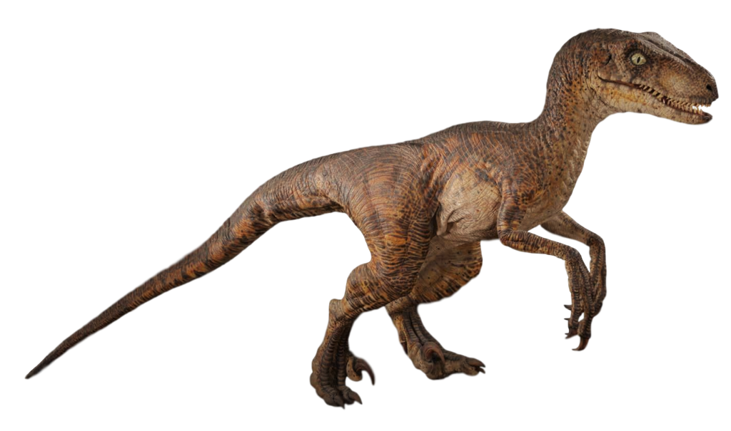 Jurassic World Velociraptor Render 1 By Tsilvadino On Deviantart 