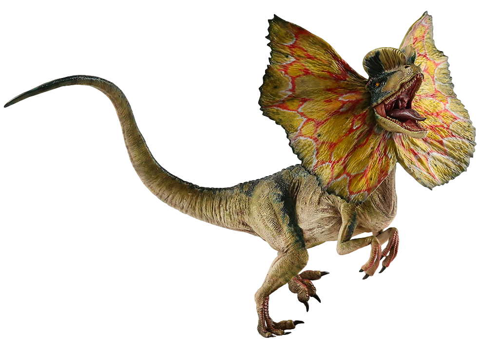 Jurassic World Dilophosaurus Render 2 By Tsilvadino On DeviantArt jurassic-world-dilophosaurus-render-2-by-tsilvadino-on-deviantart