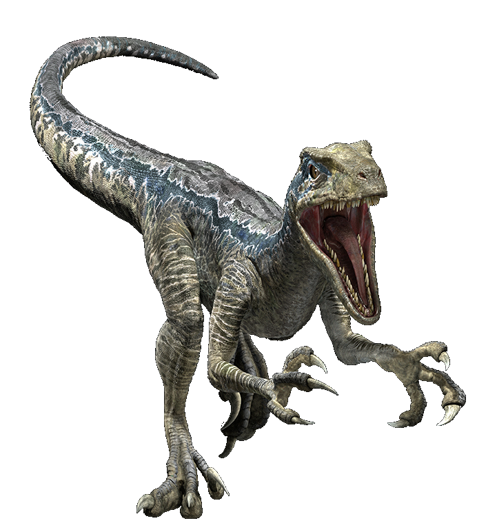 Jurassic World Velociraptor Blue Render 5 by tsilvadino on DeviantArt