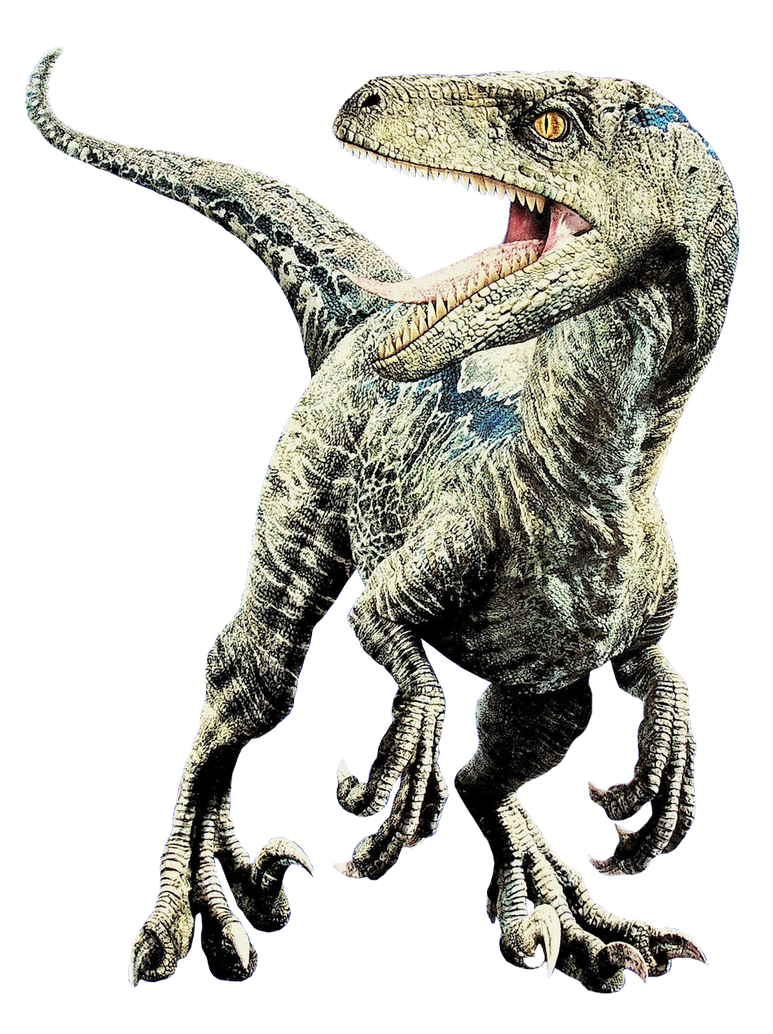 Jurassic World Velociraptor Blue Render 6 By Tsilvadino On Deviantart 