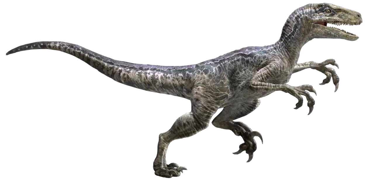Jurassic World Velociraptor Blue Render 7 by tsilvadino on DeviantArt