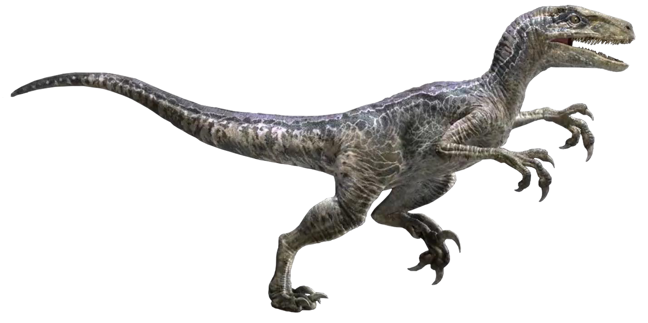 Jurassic World Velociraptor Blue Render 7 By Tsilvadino On Deviantart 