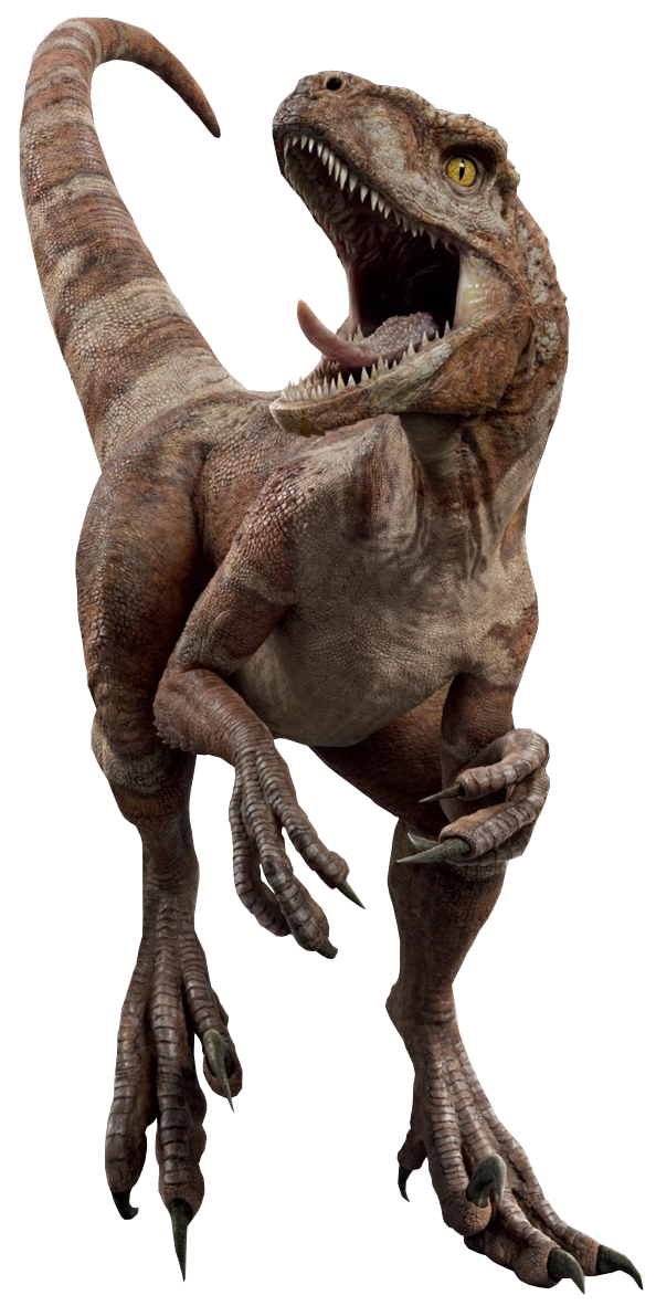 Jurassic World Atrociraptor Red Render 2 By Tsilvadino On Deviantart 