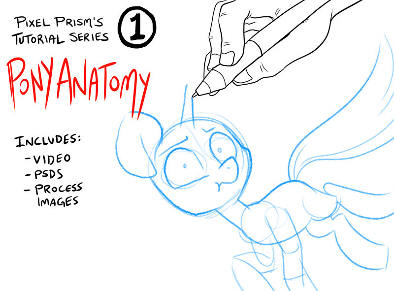 Tutorial 1: Pony Anatomy and Expressions by Pixel-Prism