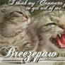 Breezepaw- Unwanted