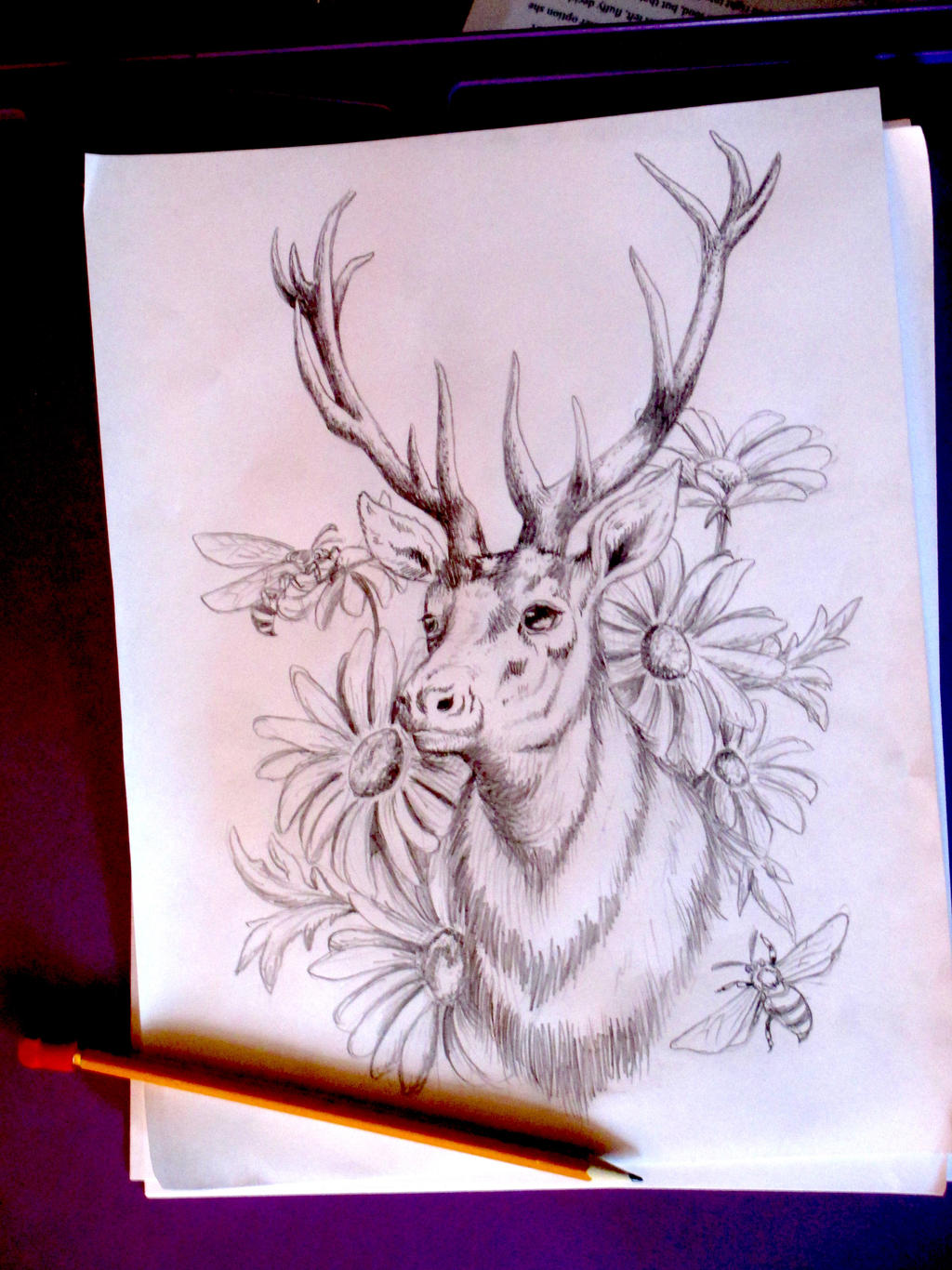 Deer Illustration Sketch