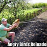 Angry Birds...