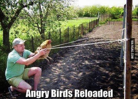Angry Birds...