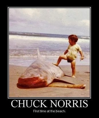 Chuck Norris