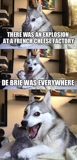 DE BRIE!!