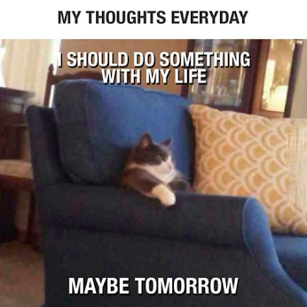 Maybe tomorrow