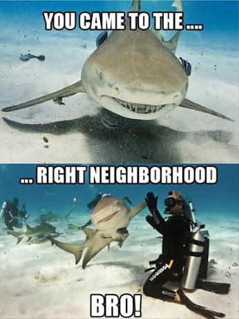 Right Neighborhood!