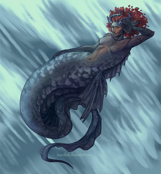 Mermay2019