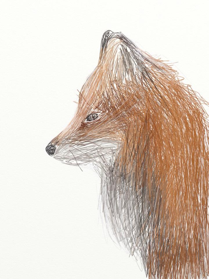 Fox Pencil