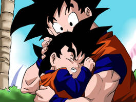 Dragon Ball: father and son