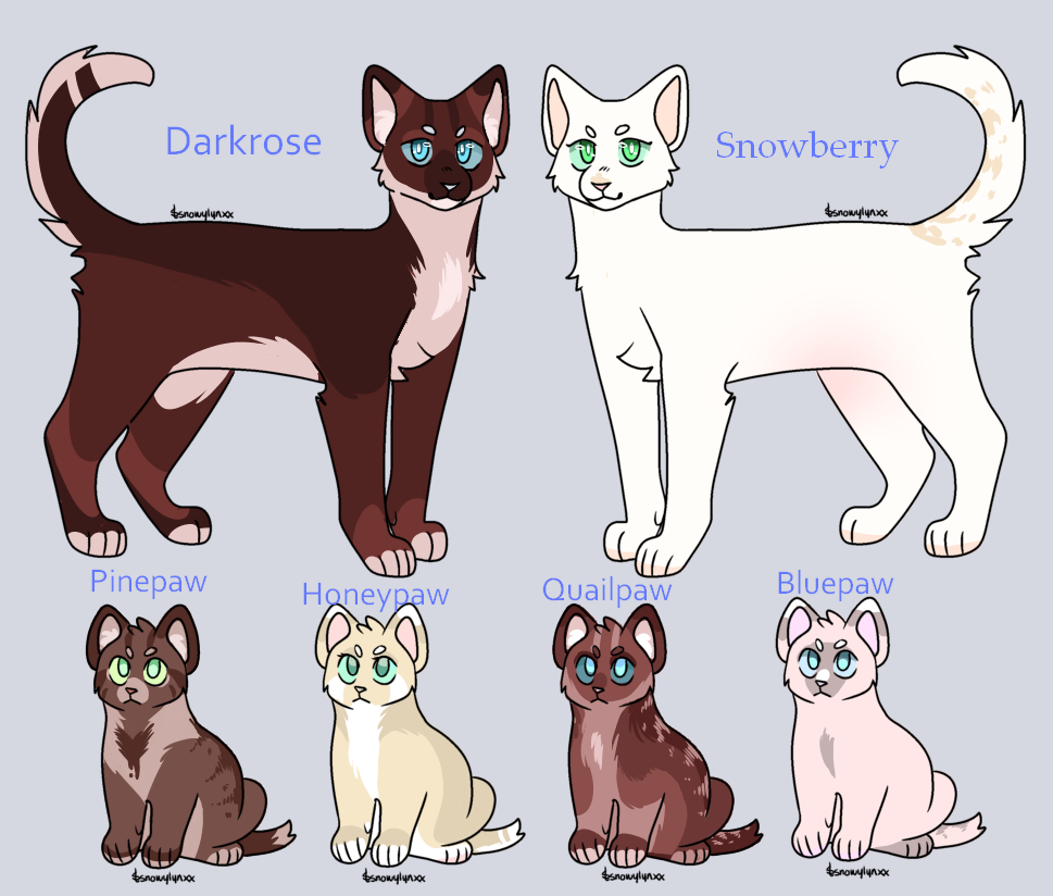 cats-warriors-webbg by CloverCoin on DeviantArt