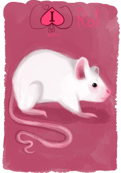 Lab Rats Anima Animacards: Laboratory Rat (#4) by HelgaDi on DeviantArt