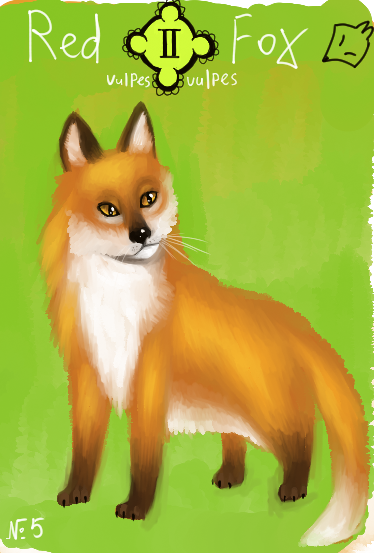 Animacards: Red Fox (#5)