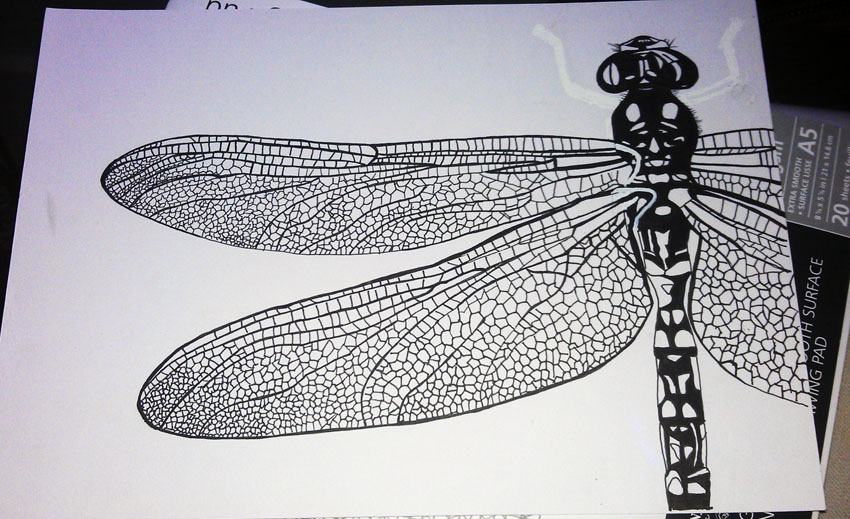 Dragonfly One