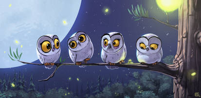 Owls