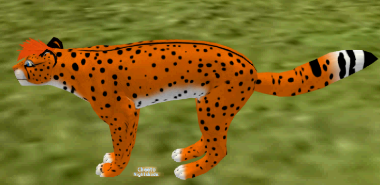 Cheeto the cheetah